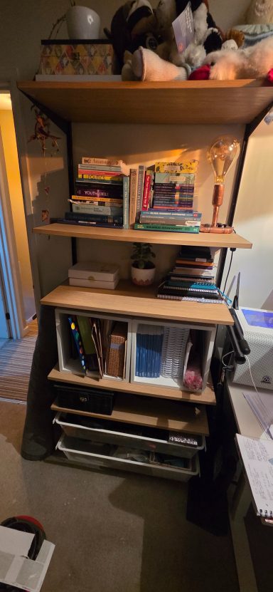 Modular wall mounted shelving install